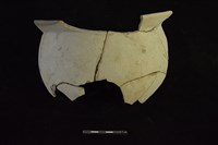 陶罐藏品圖，第1張